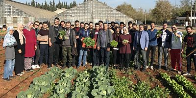 AÜ'de öğrenciler kendi sebzesini üretiyor
