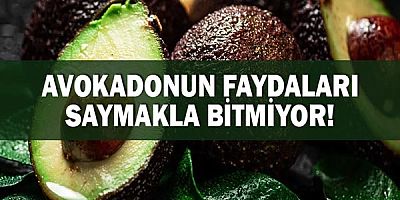 Avokadonun Faydaları Saymakla Bitmiyor!
