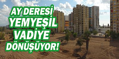 Ay Deresi yemyeşil vadiye dönüşüyor!