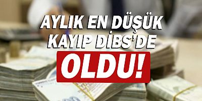 Aylık en düşük kayıp Devlet İç Borçlanma Senetleri'nde oldu!