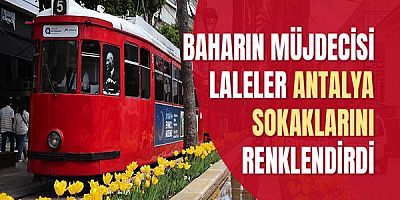 Baharın müjdecisi laleler Antalya sokaklarını renklendirdi