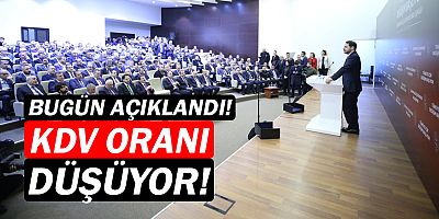 Hazine ve Maliye Bakanı Berat Albayrak