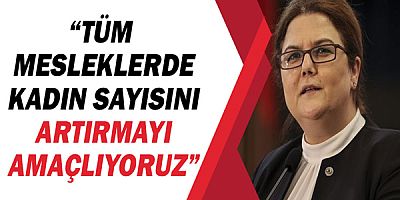 Bakan Derya Yanık, 