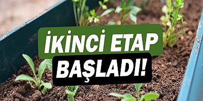 Balkon bahçeciliğinde 2’nci etap!
