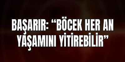 Başarır: “Böcek her an yaşamını yitirebilir”