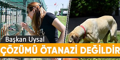 Başkan Uysal, ‘Çözümü ötanazi değildir’