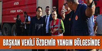 Başkan Vekili Özdemir yangın bölgesinde