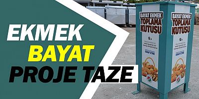 Bayat ekmekler sokak hayvanlarına mama olacak