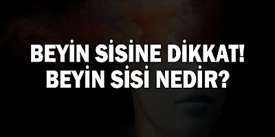 Beyin Sisine Dikkat! Beyin Sisi Nedir?