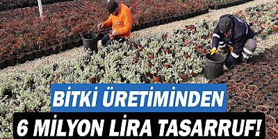 Bitki üretiminden 6 milyon lira tasarruf!