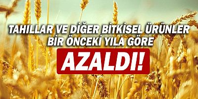 Bitkisel Üretim İstatistikleri açıklandı!