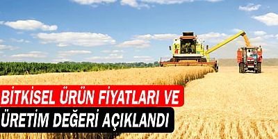 Bitkisel Ürün Fiyatları ve Üretim Değeri açıklandı