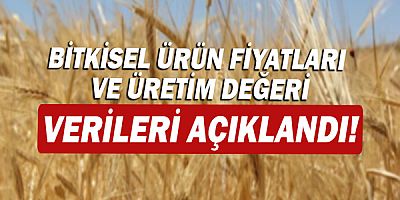 Bitkisel ürün fiyatları ve üretim değeri verileri açıklandı!