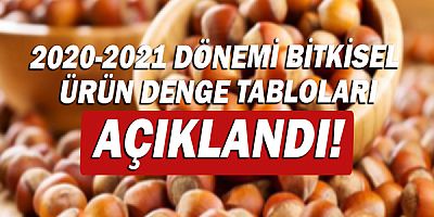Bitkisel ürünlerde en yüksek yeterlilik derecesi %552,9 ile fındıkta gerçekleşti!