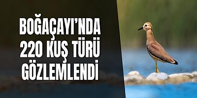 Boğaçayı’nda 220 kuş türü gözlemlendi