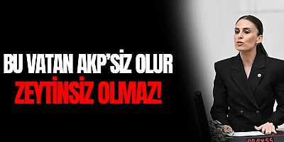 Bu Vatan AKP'siz Olur Zeytinsiz Olmaz!