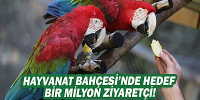 Büyükşehir Belediyesi Hayvanat Bahçesi’nde hedef bir milyon ziyaretçi!