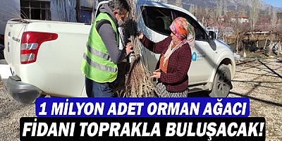 Büyükşehir Belediyesi ilçelerde fidan dağıtıyor!