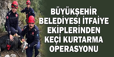 Büyükşehir Belediyesi İtfaiye ekiplerinden keçi kurtarma operasyonu
