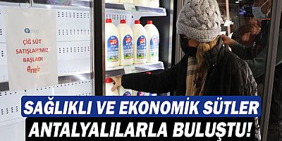 Büyükşehir çiğ Halk Süt satışına başladı!