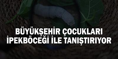 Büyükşehir çocukları ipekböceği ile tanıştırıyor