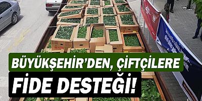 Büyükşehir’den çiftçilere fide desteği!