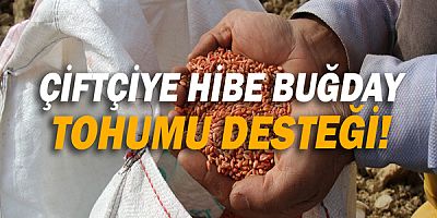 Büyükşehir'den çiftçiye hibe buğday tohumu desteği!