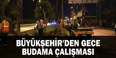 Büyükşehir'den gece budama çalışması