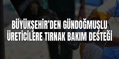 Büyükşehir’den Gündoğmuşlu üreticilere tırnak bakım desteği