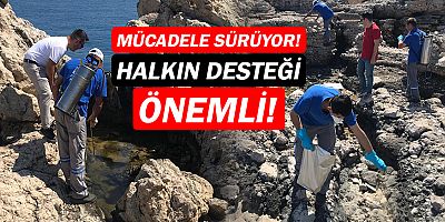 Büyükşehir’in haşere mücadelesi sürüyor!