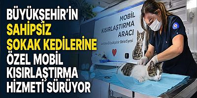 Büyükşehir’in Sahipsiz Sokak Kedilerine Özel Mobil Kısırlaştırma Hizmeti Sürüyor