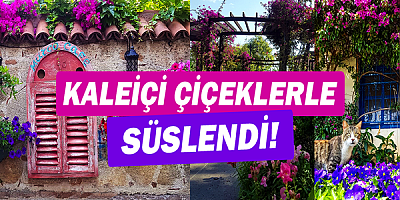 Büyükşehir Kaleiçi’ni çiçeklerle süsledi 