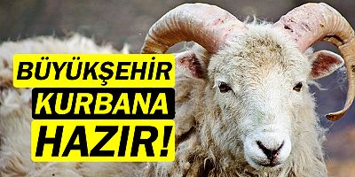 Büyükşehir, Kurbana hazır!