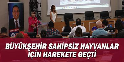 Büyükşehir sahipsiz hayvanlar için harekete geçti