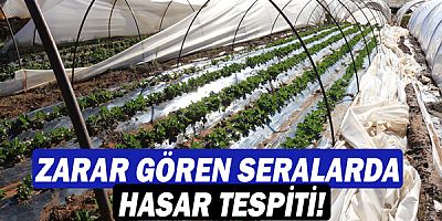 Büyükşehir Serikli çiftçilerin yanında!