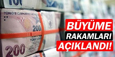 Büyüme rakamları