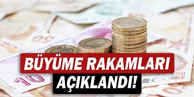 Büyüme Rakamları Açıklandı!