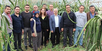 Çankırı İl Tarım ve Orman Müdürlüğü