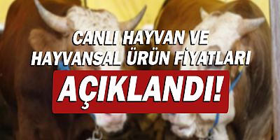 Canlı hayvan ve hayvansal ürün fiyatları açıklandı!