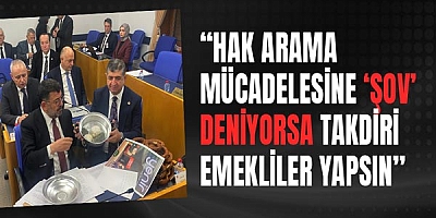 Cavit Arı: Hak Arama Mücadelesine ‘Şov’ Deniyorsa Takdiri Emekliler Yapsın