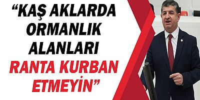 Cavit Arı, “Kaş aklarda ormanlık alanları ranta kurban etmeyin