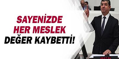 Cavit Arı: Sayenizde her meslek değer kaybetti!