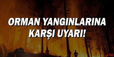 ÇEKÜL Vakfı orman yangınlarına karşı uyardı!