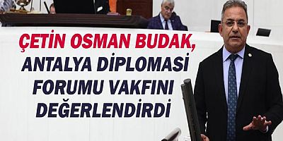 Çetin Osman Budak ADF Vakfını değerlendirdi!
