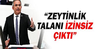 Çetin Osman Budak: Limak-YK Enerji, bakanlıktan izin almadan zeytinlikleri yok etti.