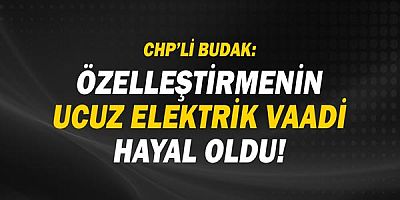 Çetin Osman Budak: Özelleştirmenin ucuz elektrik vaadi hayal oldu!