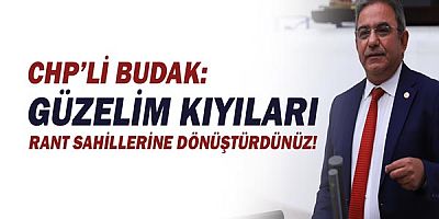 Çetin Osman Budak: Yağmalanmadık bir karış alan kalmadı!