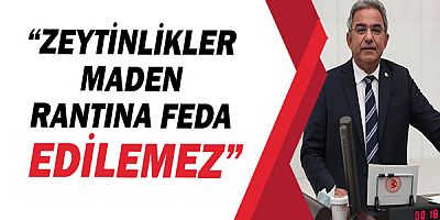 Çetin Osman Budak, zeytinlik talanını meclis gündemine taşıdı!