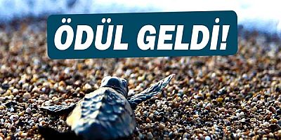 Çevre etkinliklerine ödül!
