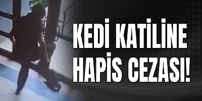 Cezve’nin Ardından Yükselen Ses: “Adalet Her Can İçin!